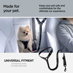 Pet Car Seatbelt Tether | PS100